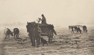 Een Koude Ochtend, 1890-1891, gedrukt 1893 door Peter Henry Emerson