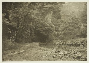 A Quiet Nook in Beresford Dale door Peter Henry Emerson