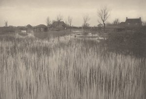 Een rietachtige kust door Peter Henry Emerson