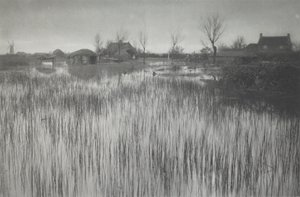 Een Rietachtige Oever door Peter Henry Emerson