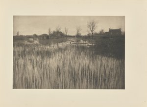 Een woeste kust door Peter Henry Emerson