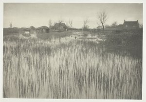 Een woeste kust door Peter Henry Emerson
