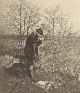 In de verborgen hoek. [Norfolk.] door Peter Henry Emerson