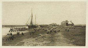Blackshore, River Blythe (Suffolk) door Peter Henry Emerson