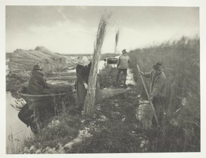 Tijdens de rietoogst door Peter Henry Emerson