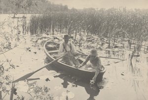 Waterlelies Verzamelen