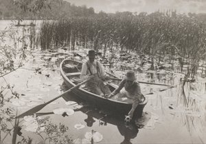 Waterlelies Verzamelen