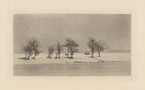 Knoestige Doornbomen door Peter Henry Emerson