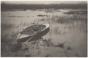  door Peter Henry Emerson