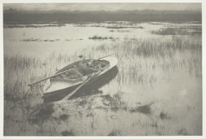 Kanonnier werkt zich op tot vogel door Peter Henry Emerson