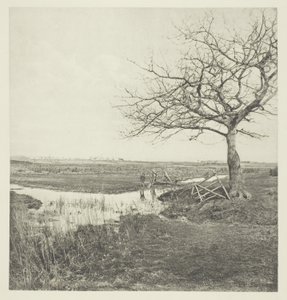 Bladloze Maart (Suffolk)