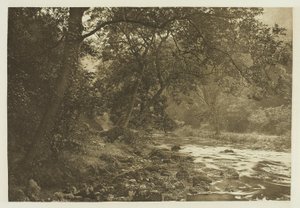 In de buurt van Reynards grot, Dove Dale door Peter Henry Emerson