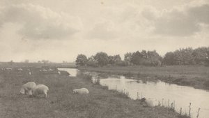 Op de rivier de Bure,1886 (foto) door Peter Henry Emerson