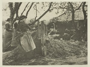 Wilgenschillen (Norfolk) door Peter Henry Emerson
