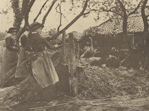 OsierPeeling. [Norfolk.] door Peter Henry Emerson