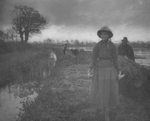Polen van het Moerashooiland door Peter Henry Emerson