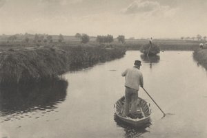 Het Kwantelen van het Moerashooiland