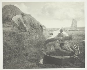 Riet harken door Peter Henry Emerson