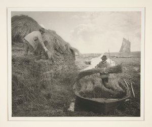 Riet harken door Peter Henry Emerson