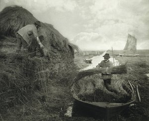 Riet snijden, ca. 1885