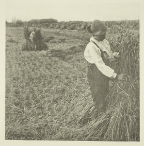 Schokkende maïs (Norfolk) door Peter Henry Emerson