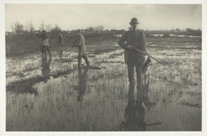 Watersnipschieten door Peter Henry Emerson
