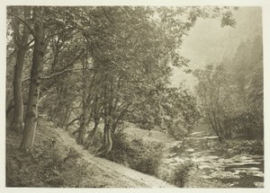Het pad over de eerste heuvel, Dove Dale door Peter Henry Emerson