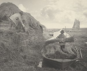 Riet Harken door Peter Henry Emerson and T.F. Goodall