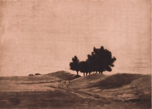 Avondlandschap door Peter Vilhelm Ilsted
