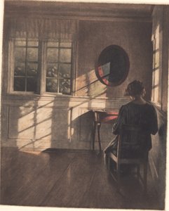 Zonneschijn