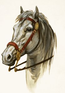 Onbekend Paard door Peter Jackson