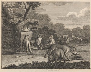 De jakhals, luipaard en andere dieren door Peter Mazell