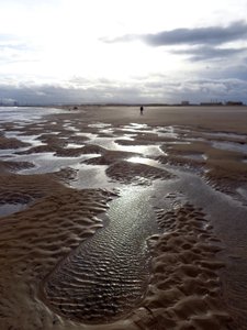 Laag tij Hartlepool, 2016