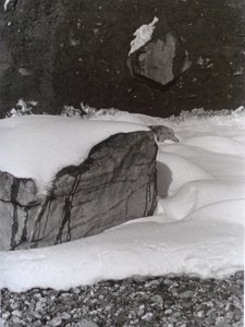 Vintage zwart-wit foto nr. 3, 1985