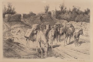 Op weg naar Santa Fe
