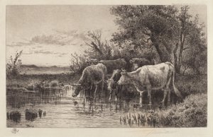 Het avonduur