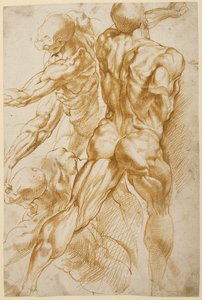Anatomische studies door Peter Paul Rubens