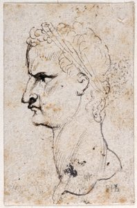 Gaius Caligula, uit tien tekeningen van acht van de eerste twaalf Caesars, naar de medailles van Giovanni da Cavino