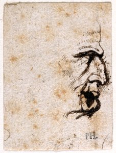 Galba, uit tien tekeningen van acht van de eerste twaalf Caesars, naar de medailles van Giovanni da Cavino