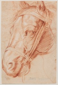  door Peter Paul Rubens