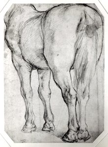 Achterkant van een paard door Peter Paul Rubens