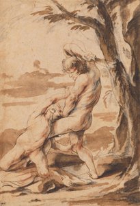 Kain doodt Abel door Peter Paul Rubens