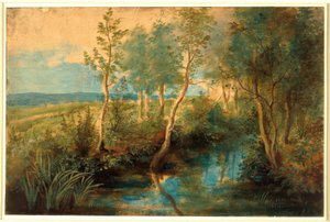 Landschap met stroom overhangend met bomen