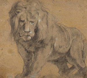 Leeuw, c.1612-13