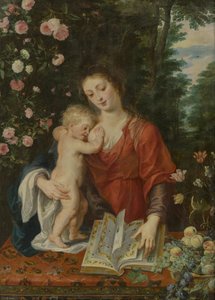 door Peter Paul Rubens