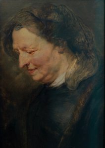  door Peter Paul Rubens