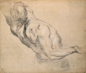 Studie van een mannelijk naakt torso, 1600-1640 door Peter Paul Rubens