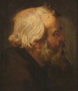 De apostel Petrus