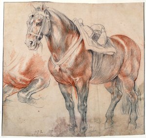 Een gezadeld paard door Peter Paul Rubens