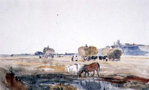 Een hooiveld in Lincoln
